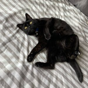 Meet your Posher, Jade